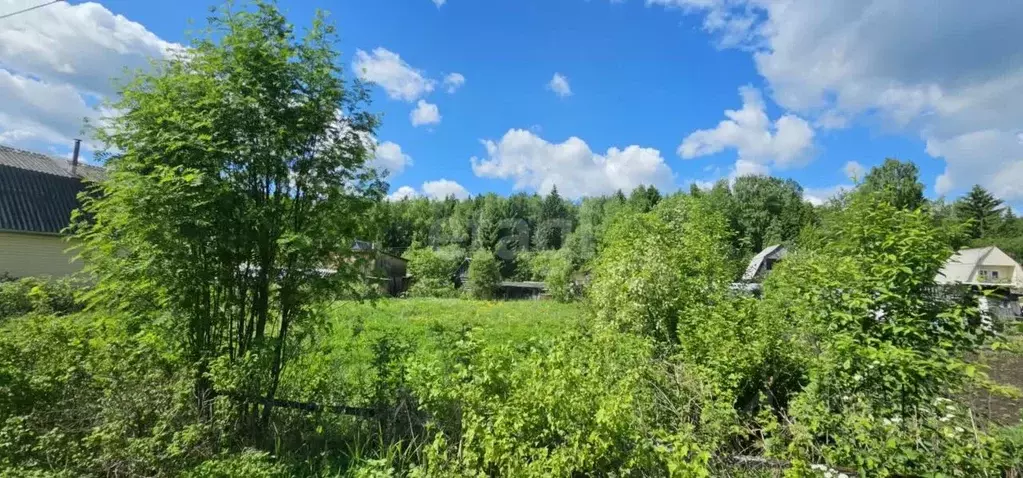 Участок в Архангельская область, Котласский муниципальный округ, ... - Фото 1