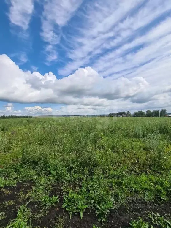 Участок в Мордовия, Лямбирский район, Берсеневское с/пос, Альтерра кп  ... - Фото 2