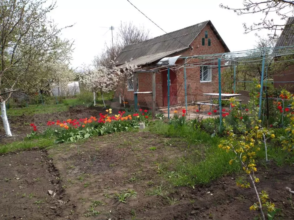 Авангард дача. Вареновка Ростовская область. Село Приморка.