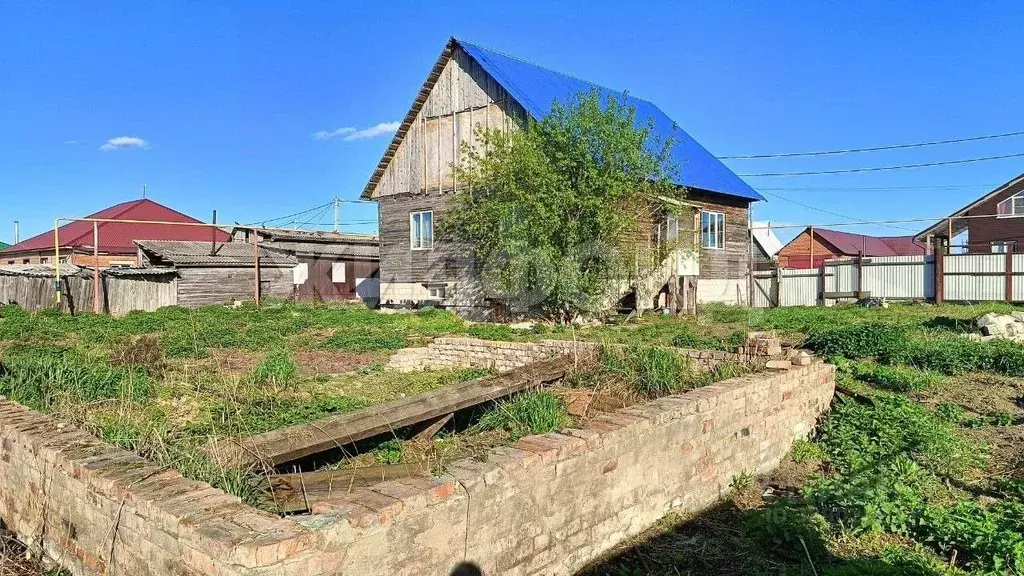 Участок в Новосибирская область, Колыванский район, д. Большой Оеш ... - Фото 2