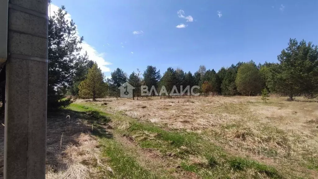 Участок в Владимирская область, Судогодский район, д. Суховка ул. ... - Фото 1