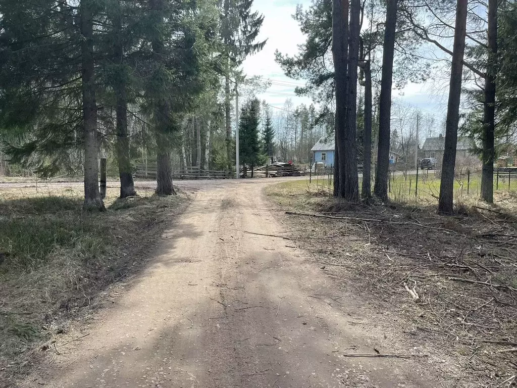 Участок в Ленинградская область, Лодейнопольский район, пос. ... - Фото 0