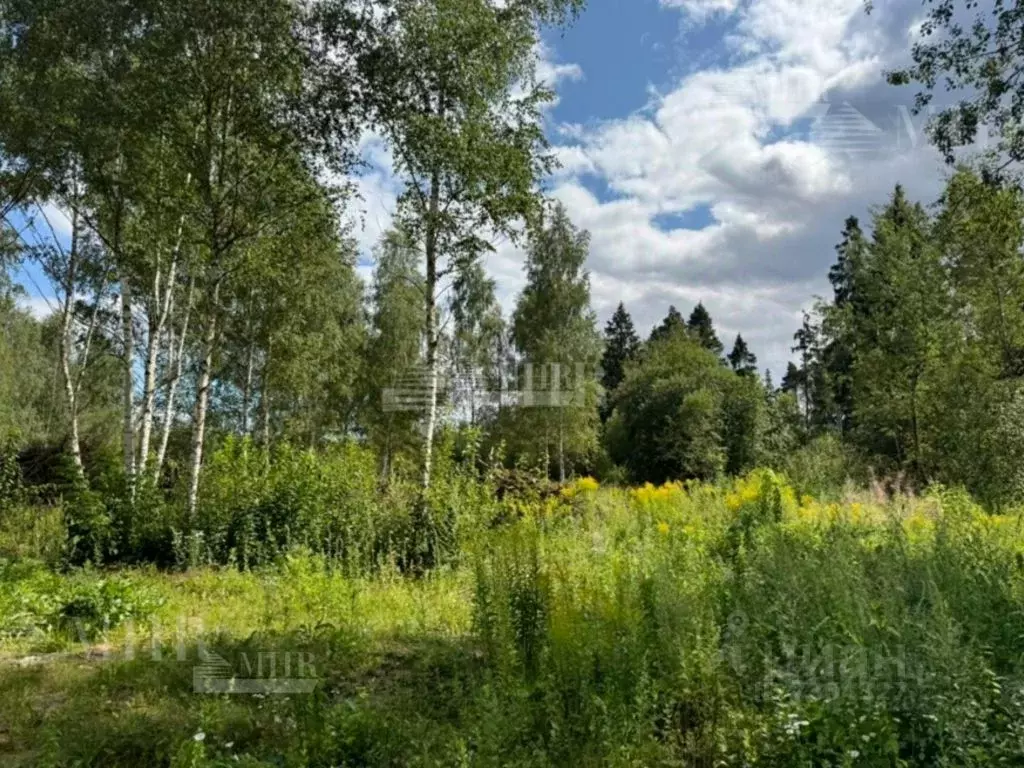 Участок в Московская область, Красногорск городской округ, д. ... - Фото 1
