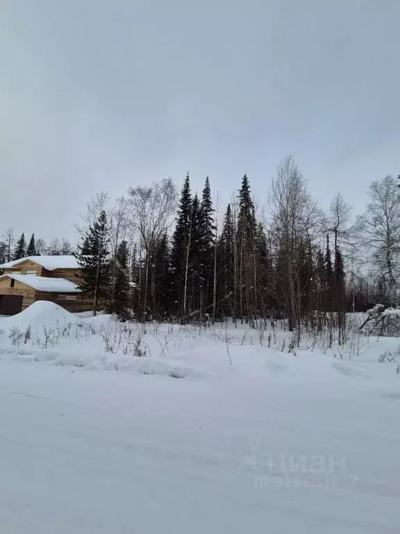 Участок в Иркутская область, Усть-Илимск ул. Ровесников (15.0 сот.) - Фото 2