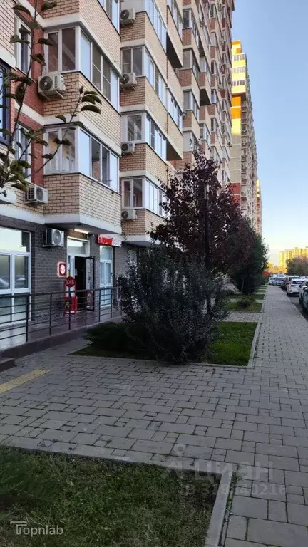 Помещение свободного назначения в Краснодарский край, Краснодар ул. ... - Фото 2