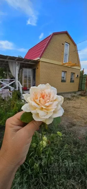 Дом в Ростовская область, Цимлянск ул. Ленина (29 м) - Фото 0