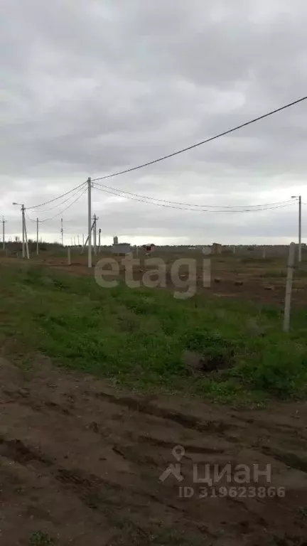 Участок в Крым, Раздольненский район, Славновское с/пос, Отдых СНТ  ... - Фото 1