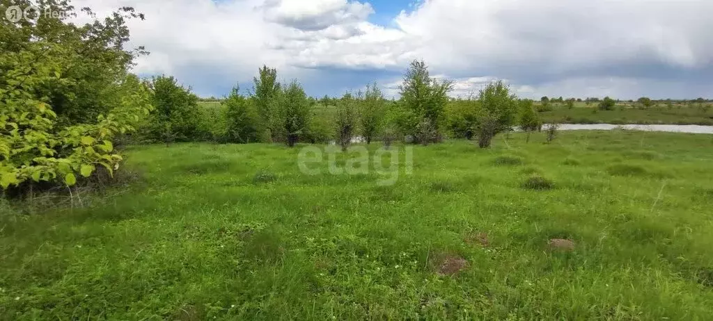 Участок в Рамонский район, Русскогвоздёвское сельское поселение, село ... - Фото 0