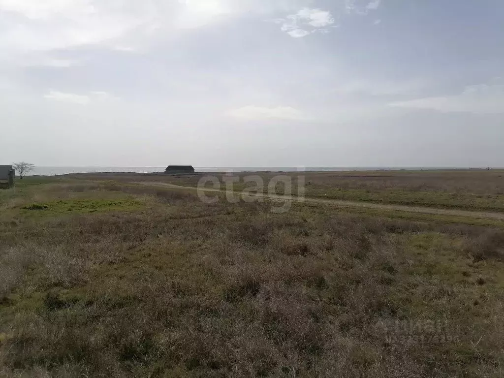 Участок в Крым, Черноморский район, Окуневское с/пос, с. Марьино ул. ... - Фото 1