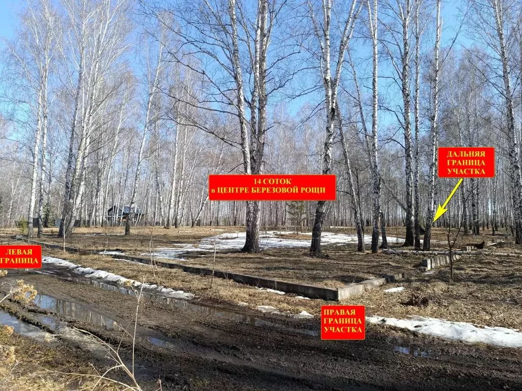 Участок в Челябинская область, Сосновский муниципальный округ, пос. ... - Фото 1