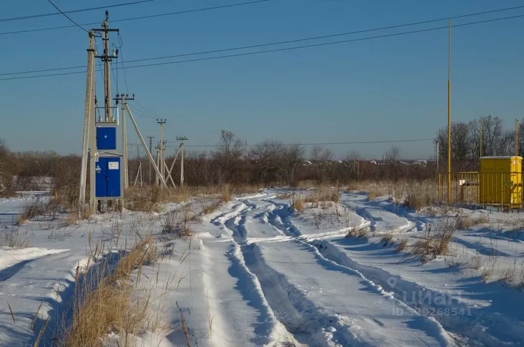 Участок в Пензенская область, с. Бессоновка проезд 3-й Российский ... - Фото 1