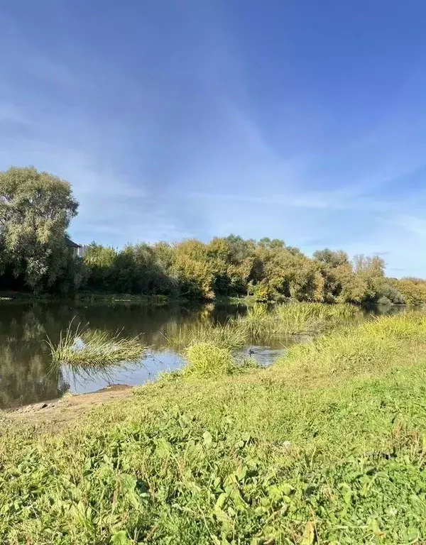Участок в Московская область, Орехово-Зуевский городской округ, пос. ... - Фото 1