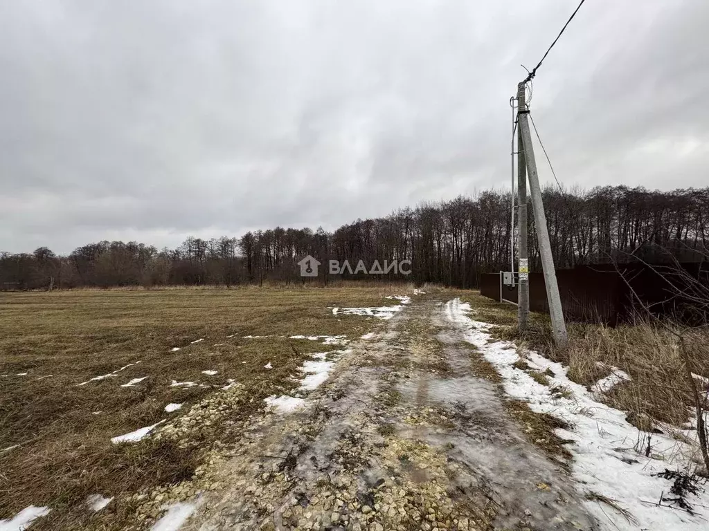 Участок в Московская область, Коломна городской округ, с. Шеметово ул. ... - Фото 0