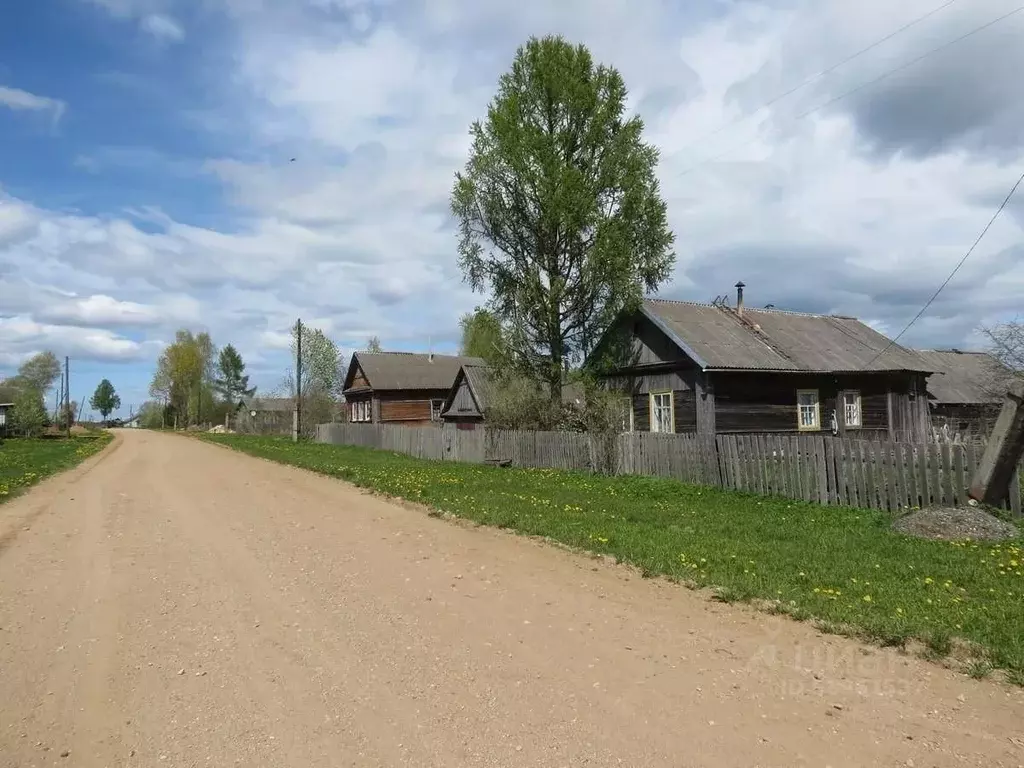 Дом в Тверская область, Оленинский район, д. Требески  (64 м) - Фото 0