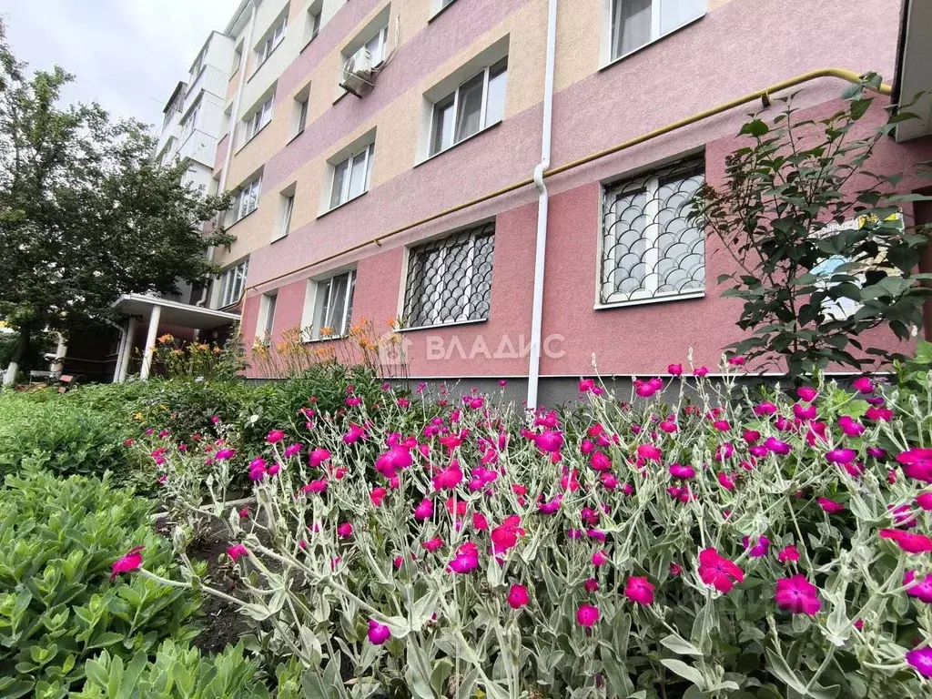1-к кв. Белгородская область, Белгородский район, Разумное рп ул. 78-й ... - Фото 0