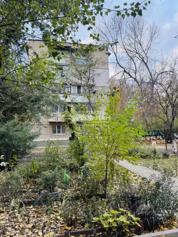 2-к кв. Ростовская область, Новочеркасск ул. Котовского (41.0 м) - Фото 2