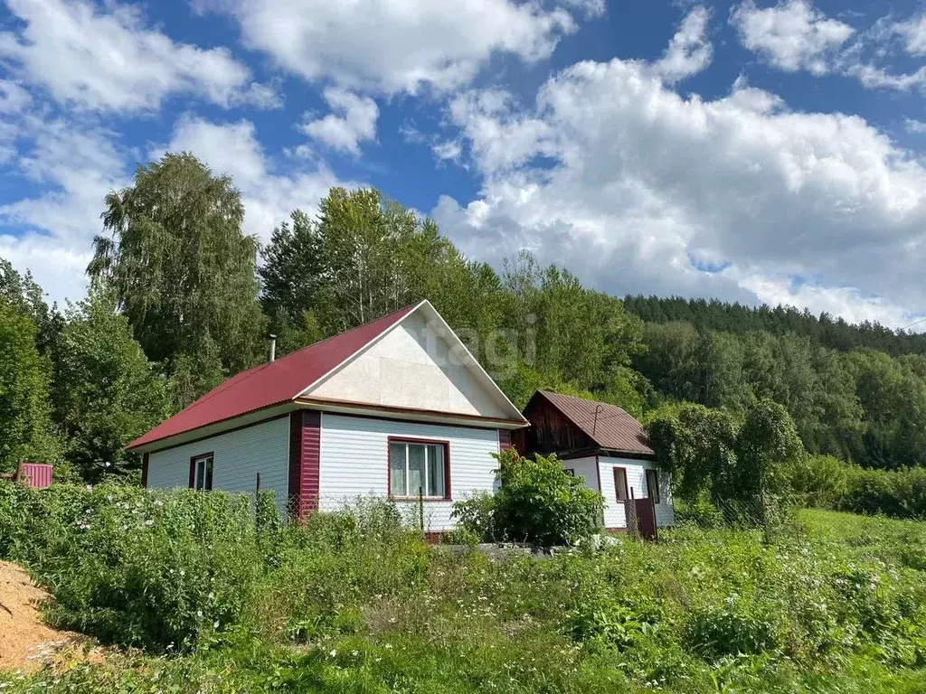 Дом в Алтайский край, Алтайский район, с. Алтайское ул. Лесная, 36 (48 ... - Фото 0