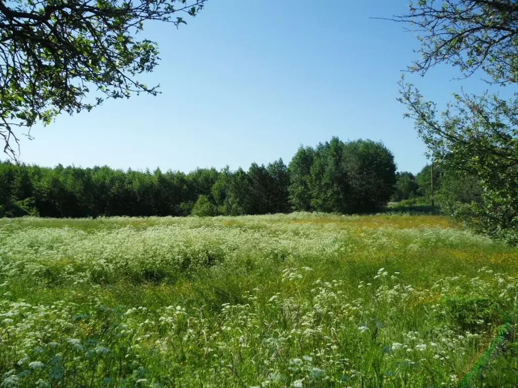 Участок в Псковская область, Гдовский район, Юшкинская волость, д. ... - Фото 2