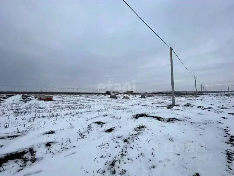 Участок в Белгородская область, Белгородский район, с. Стрелецкое 81 ... - Фото 0