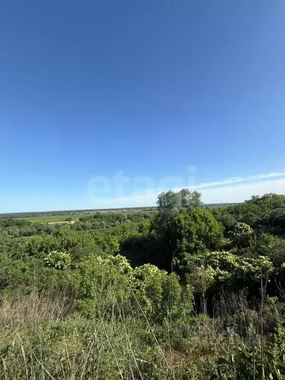 Участок в Воронежская область, Рамонский район, Новоживотинновское ... - Фото 2