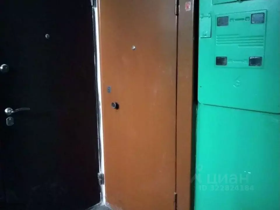 2-к кв. Нижегородская область, Дзержинск Новомосковская ул., 18 (45.0 ... - Фото 2