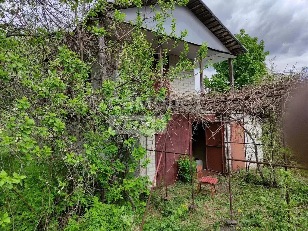 Дом в Задонский район, Верхнестуденецкий сельсовет, село Казино (55 м) - Фото 0