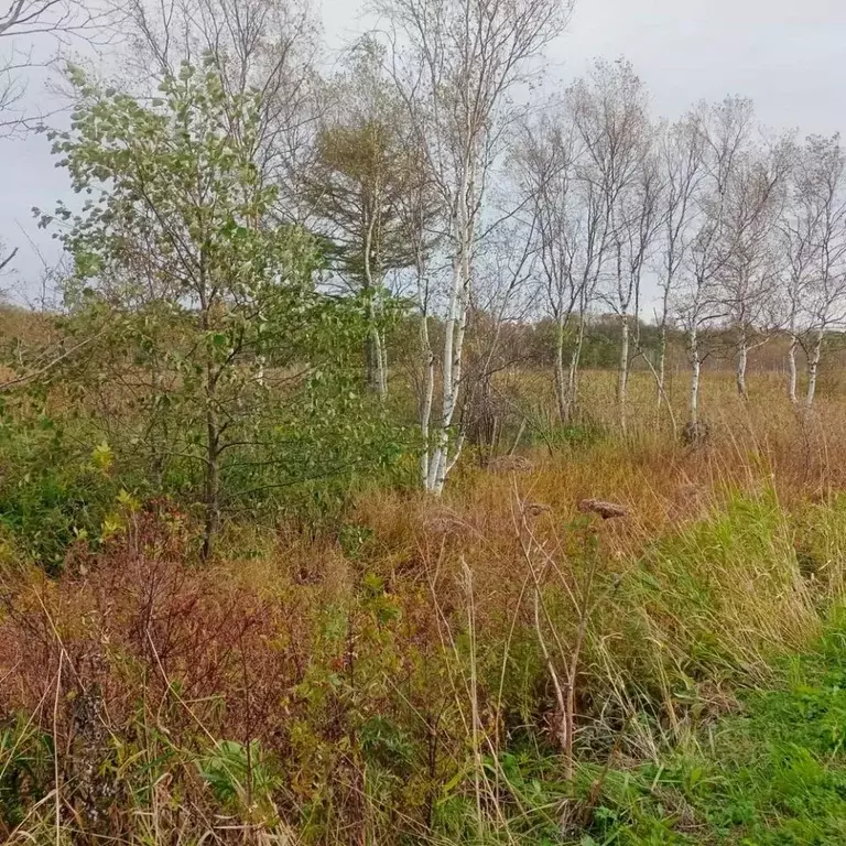 Участок в Сахалинская область, Анива ул. Калинина (12.75 сот.) - Фото 1