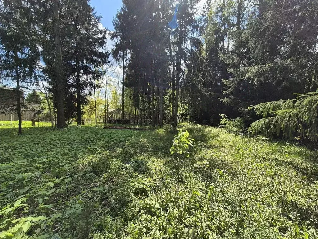 Участок в Московская область, Одинцовский городской округ, д. Сивково  ... - Фото 1