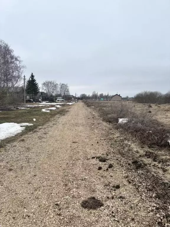Участок в Нижегородская область, Арзамас городской округ, с. Новый ... - Фото 1