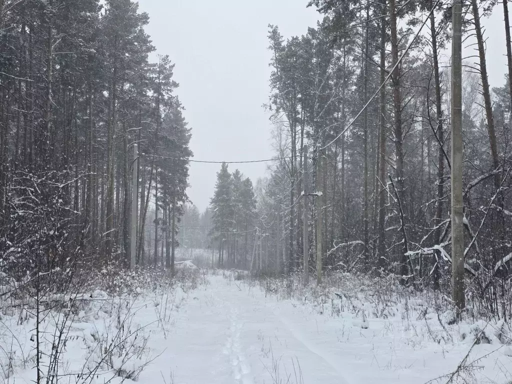 Участок в Свердловская область, Екатеринбург Лесной парк кп,  (6.7 ... - Фото 2