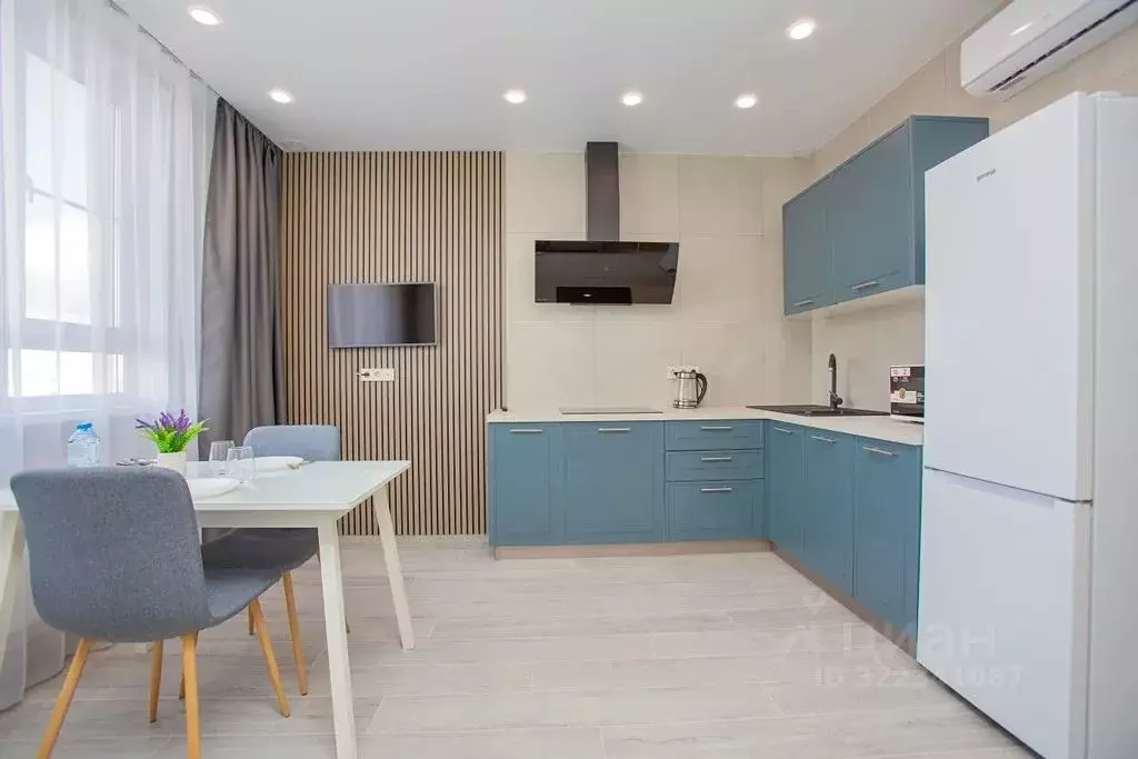 1-к кв. Нижегородская область, Нижний Новгород д. Анкудиновка, ул. ... - Фото 1