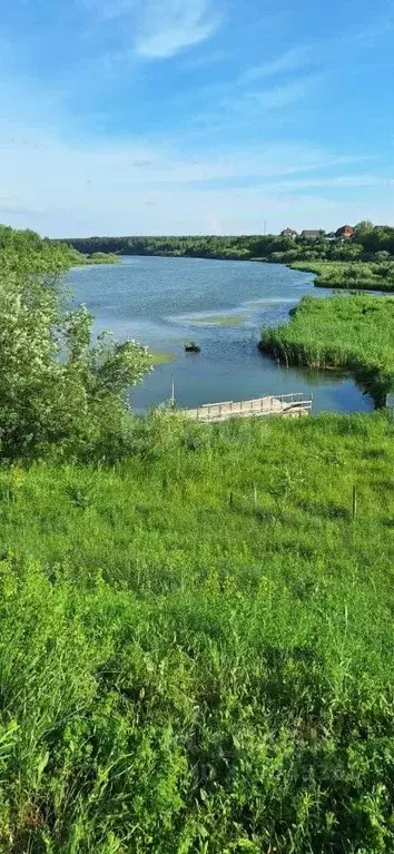 Участок в Тюменская область, Тюмень пос. Букино, ул. Сосновая (12.0 ... - Фото 0