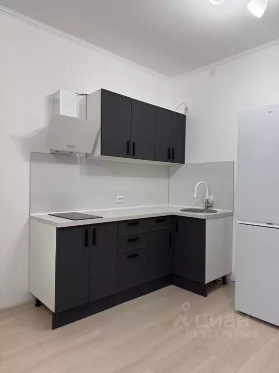 Студия Ленинградская область, Мурино Всеволожский район, просп. ... - Фото 1