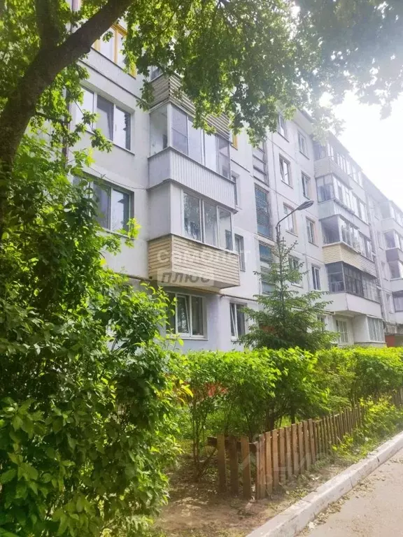 1-к кв. Брянская область, Брянск ул. Костычева, 53 (30.6 м) - Фото 0