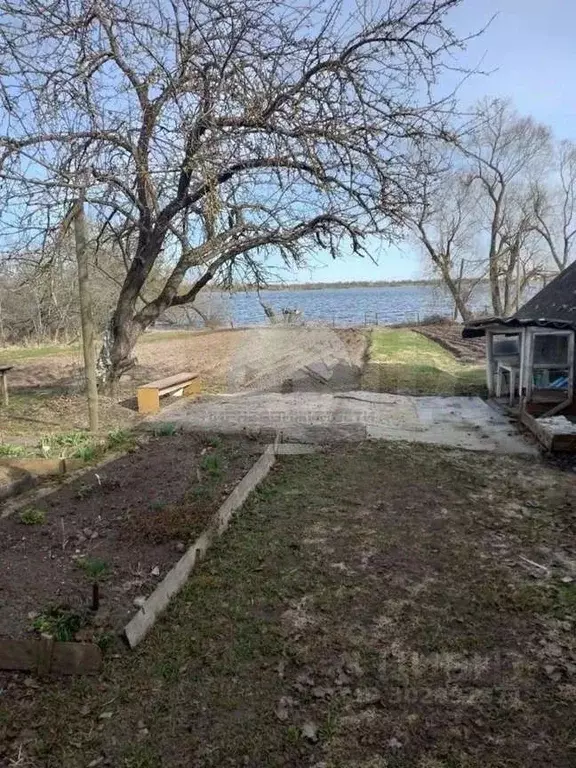 Участок в Новгородская область, Новгородский район, Борковское с/пос, ... - Фото 0