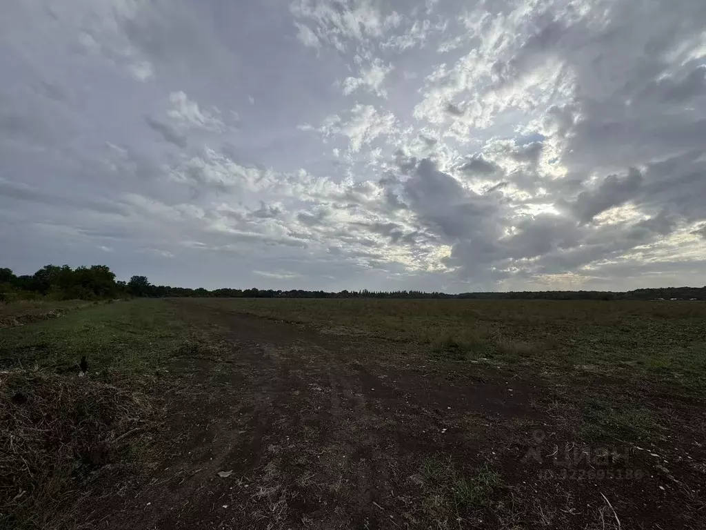 Участок в Адыгея, Тахтамукайское с/пос, пос. Отрадный ул. Победы (50.0 ... - Фото 2