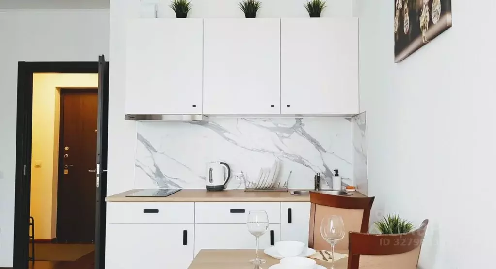 Студия Санкт-Петербург просп. Ветеранов, 175 (24.7 м) - Фото 2