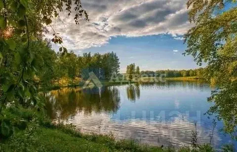 Участок в Тюменская область, Нижнетавдинский муниципальный округ, ... - Фото 1