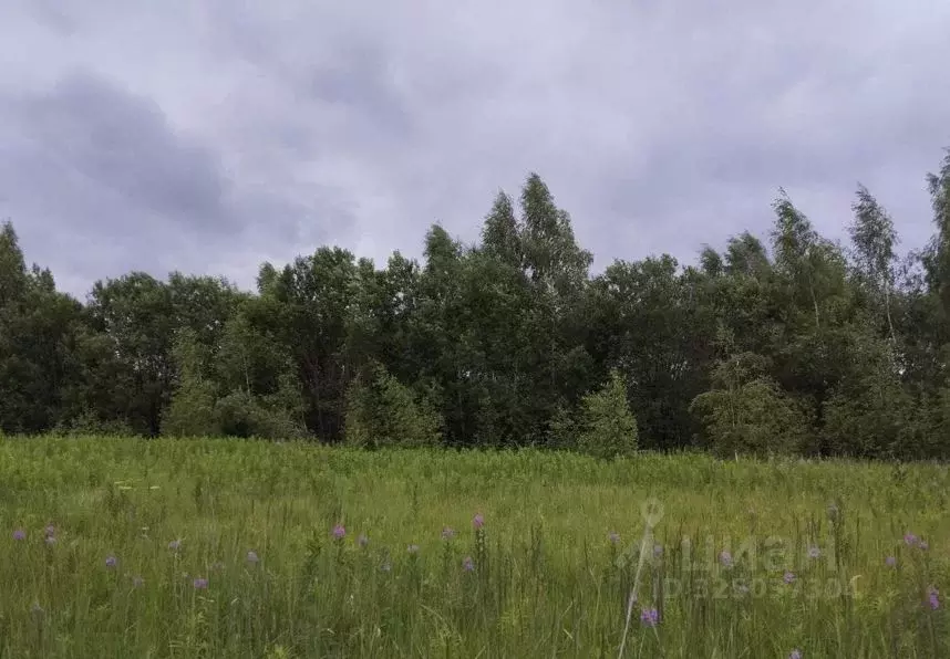Участок в Московская область, Дмитровский муниципальный округ, д. ... - Фото 1