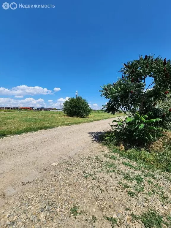 Дом в станица Выселки, Береговая улица, 82 (80 м) - Фото 1
