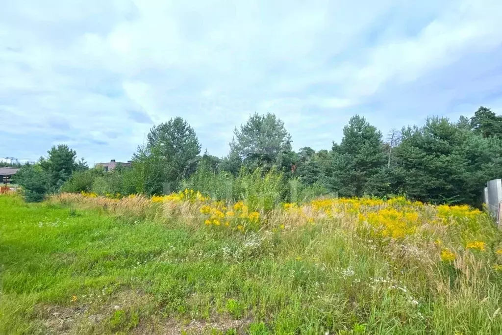 Участок в Московская область, Красногорск городской округ, пос. ... - Фото 1