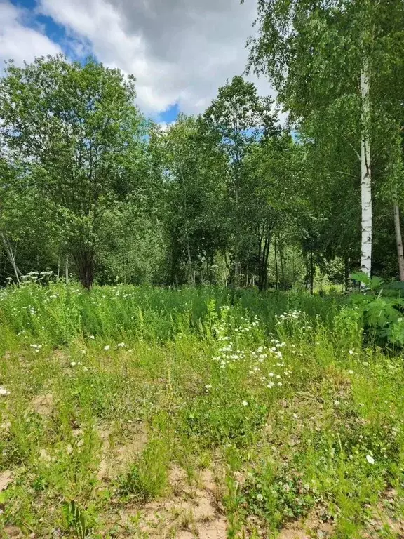Участок в Московская область, Воскресенск городской округ, с. Федино  ... - Фото 0