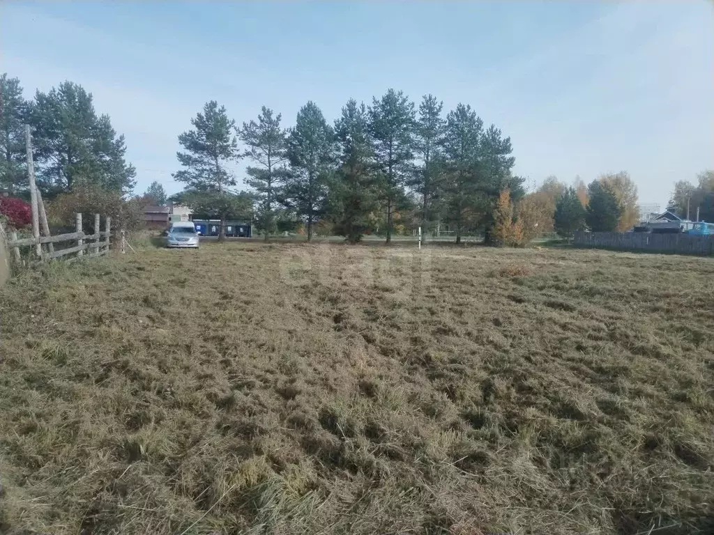 Участок в Вологодская область, д. Новое (Борисовский сельсовет)  (19.0 ... - Фото 1