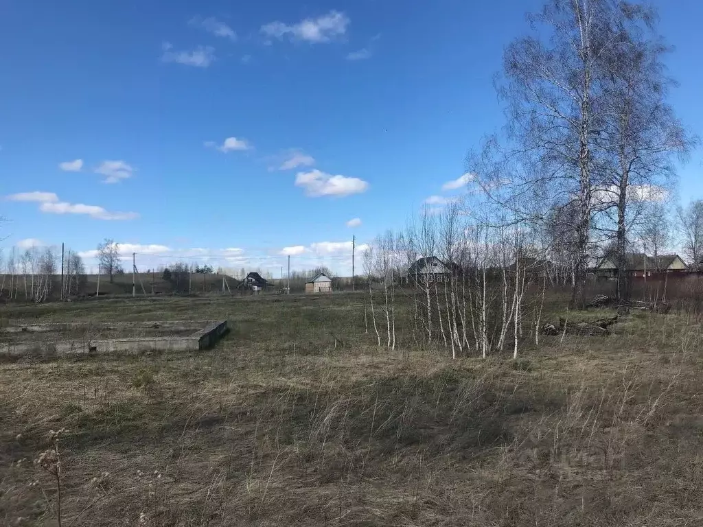 Участок в Алтайский край, Смоленский район, Верх-Обский сельсовет, ... - Фото 0