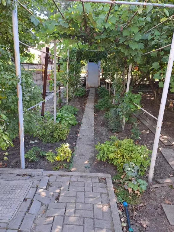 Дача 64,2 м на участке 5 сот. - Фото 1