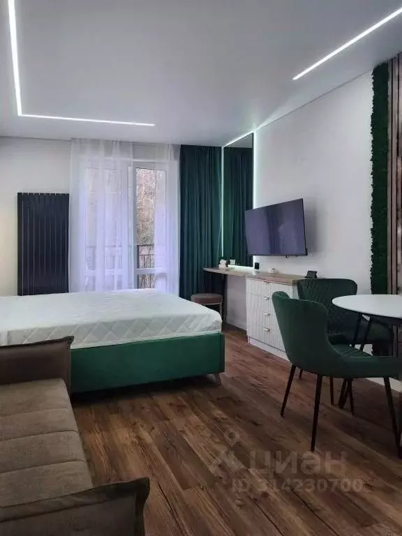 1-к кв. Краснодарский край, Сочи ул. Искры, 88 (27.0 м) - Фото 0