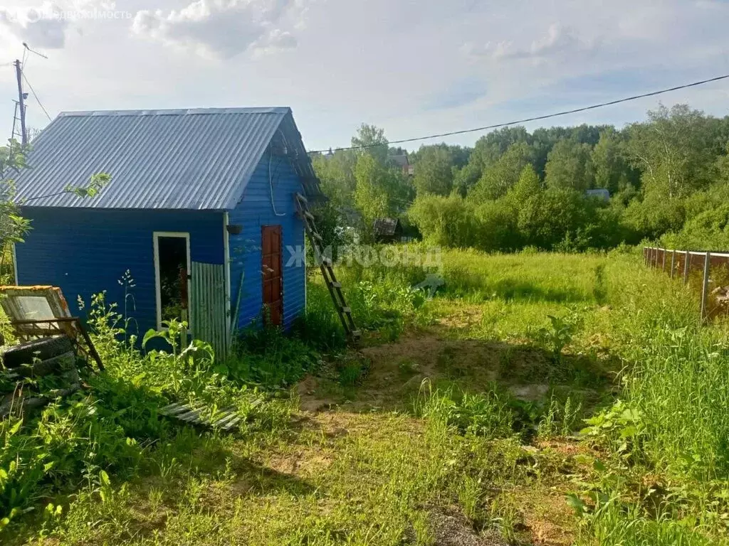 Участок в Новосибирск, НСТ Ветеран, 12-й квартал (5.8 м) - Фото 1