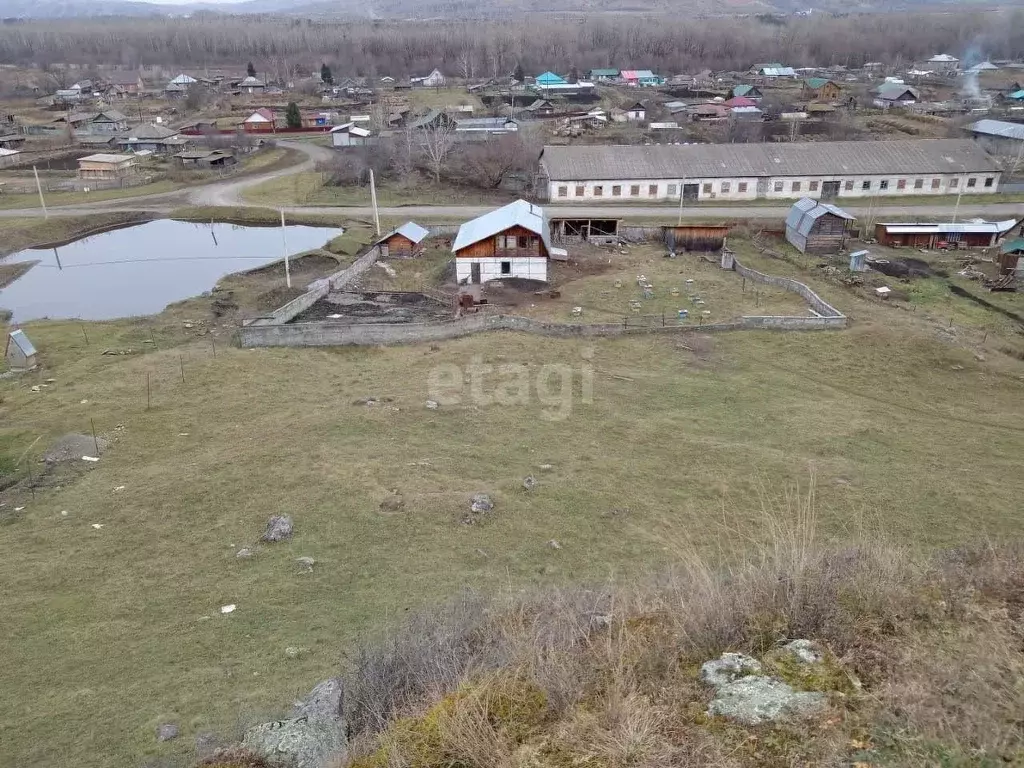 Участок в Алтайский край, Алтайский район, Айский сельсовет, с. Ая ул. ... - Фото 0