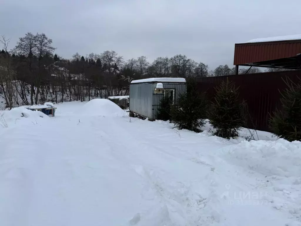 Участок в Московская область, Пушкинский городской округ, д. ... - Фото 0