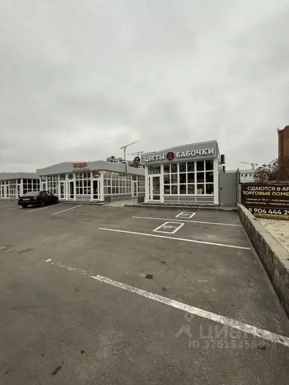 Торговая площадь в Ростовская область, Ростов-на-Дону просп. Шолохова, ... - Фото 2